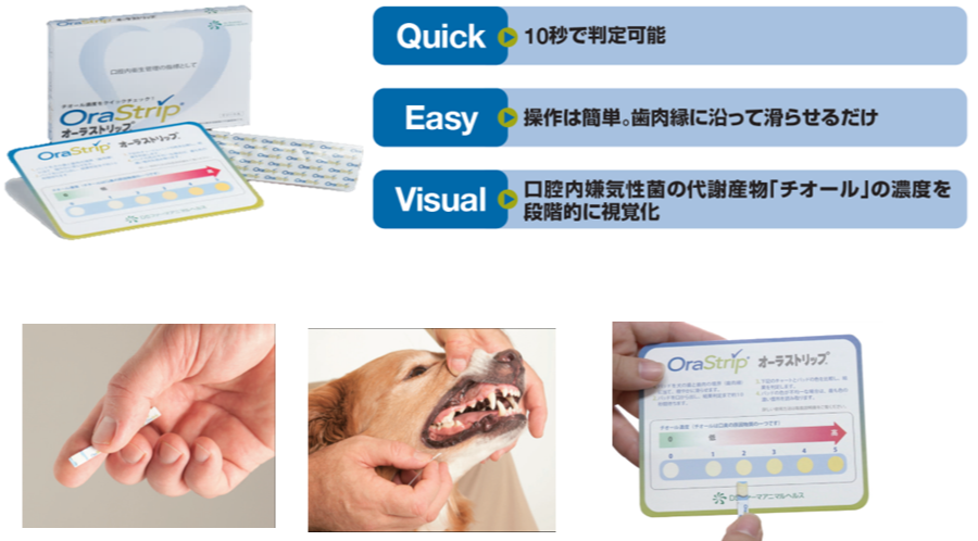 身体検査の様子