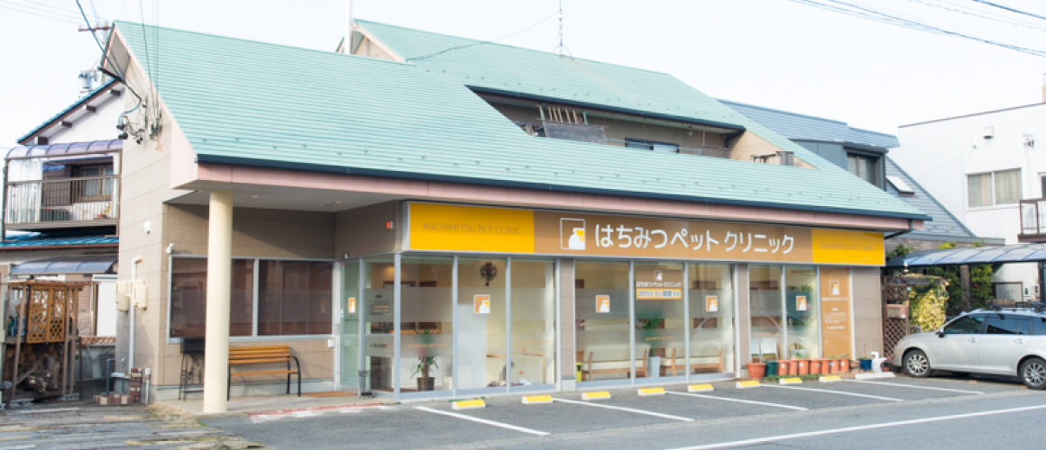 ご来院のイラスト