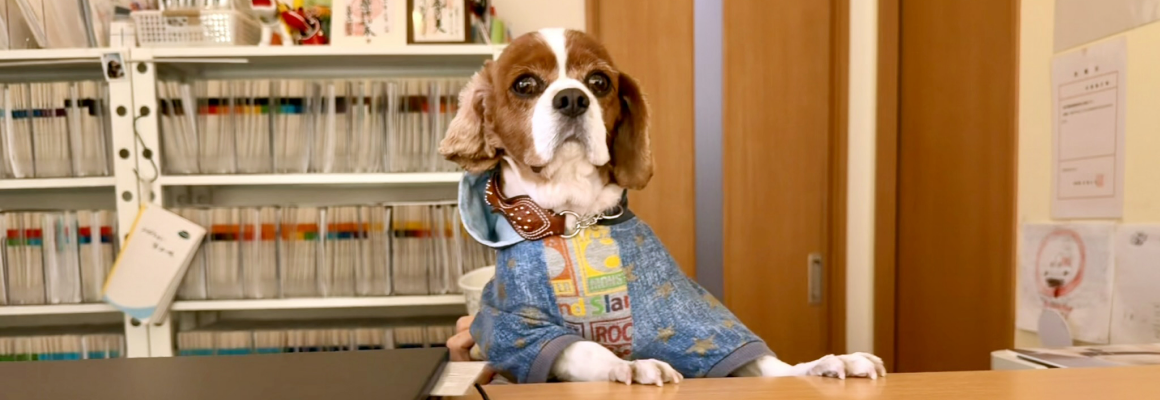 受付のイラスト