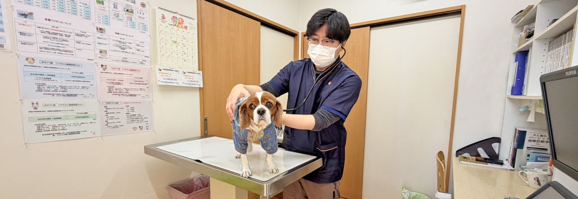 診察のイラスト