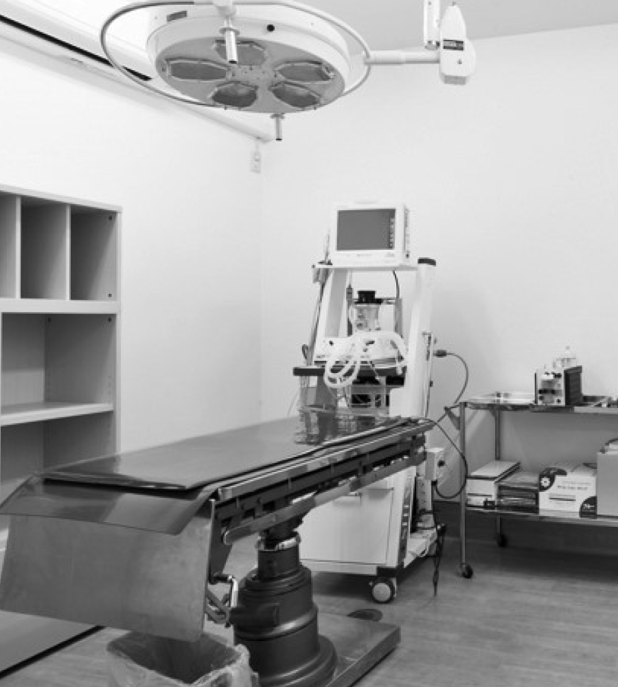 避妊手術イメージ