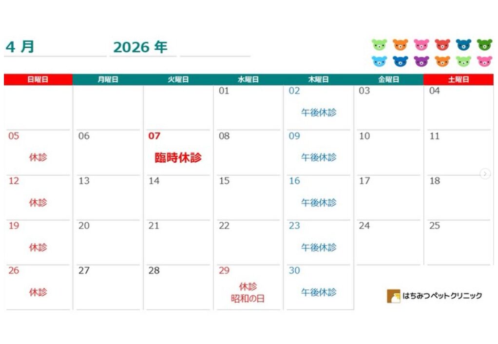 今月の診察スケジュール